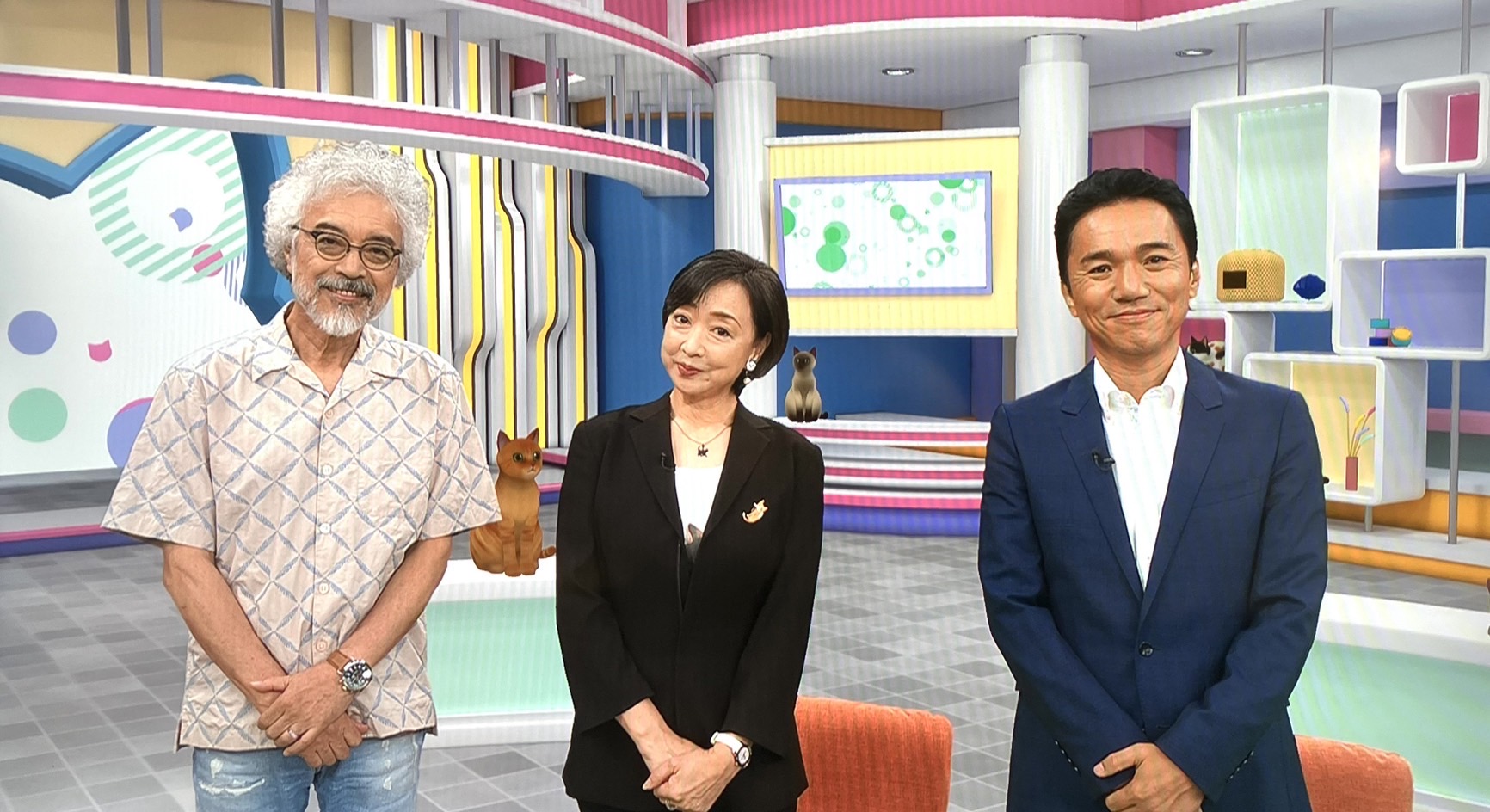 ついに!にゃなかタウンが番組になります!!