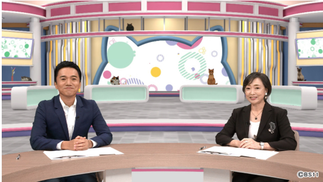 『ネコまちジャーナル』見逃し配信情報です!