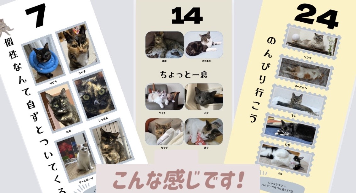 日めくりカレンダー発送のお知らせです!