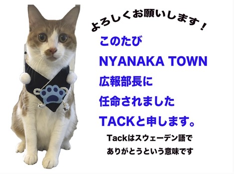 広報部長に任命されましたTACKです!