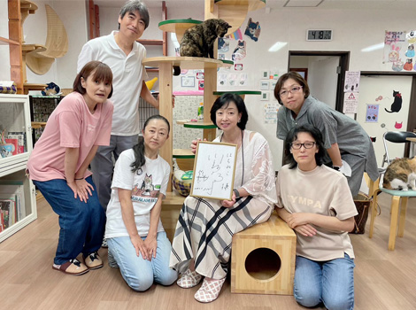 八王子の猫カフェ「はちまる」さんに行ってきました。